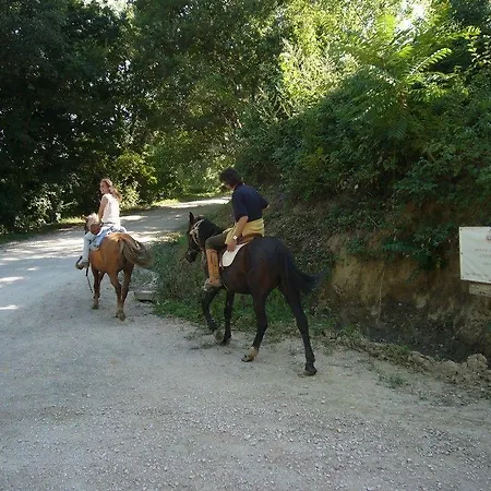 Feriegård Borgo Storico Cisterna Macerata Feltria
